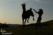 Valach Gabor S